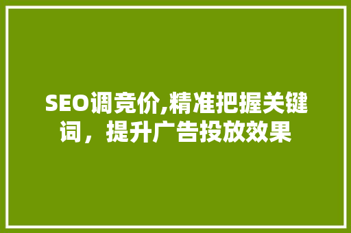 SEO调竞价,精准把握关键词，提升广告投放效果