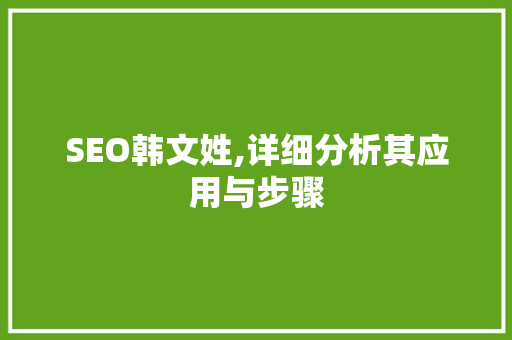 SEO韩文姓,详细分析其应用与步骤