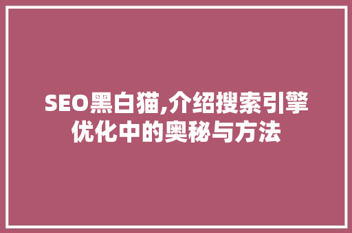 SEO黑白猫,介绍搜索引擎优化中的奥秘与方法