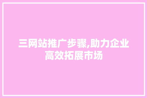 三网站推广步骤,助力企业高效拓展市场