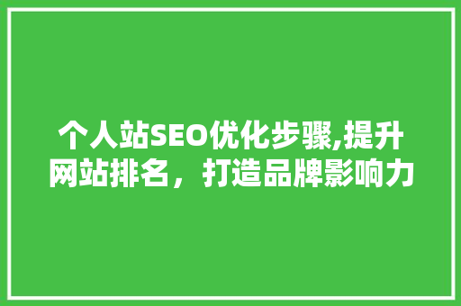 个人站SEO优化步骤,提升网站排名，打造品牌影响力