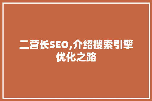 二营长SEO,介绍搜索引擎优化之路