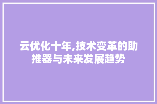 云优化十年,技术变革的助推器与未来发展趋势