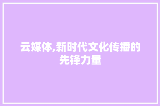 云媒体,新时代文化传播的先锋力量