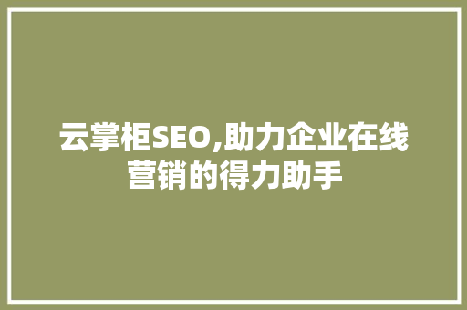 云掌柜SEO,助力企业在线营销的得力助手