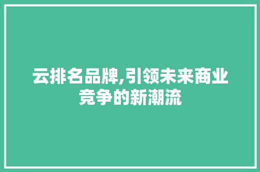 云排名品牌,引领未来商业竞争的新潮流