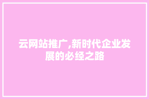 云网站推广,新时代企业发展的必经之路