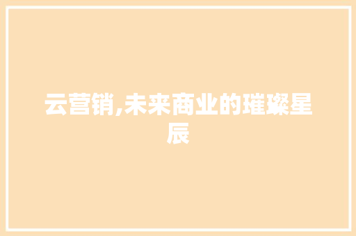 云营销,未来商业的璀璨星辰