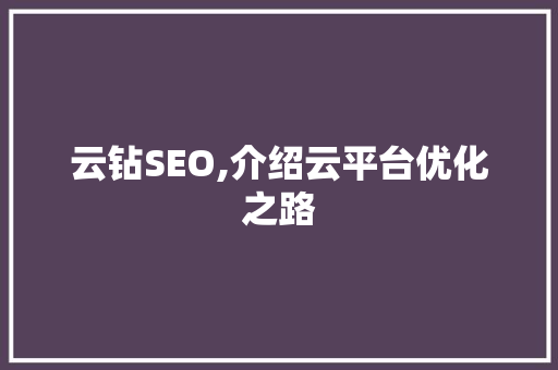 云钻SEO,介绍云平台优化之路