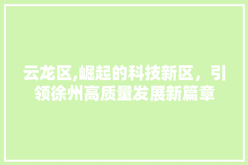 云龙区,崛起的科技新区，引领徐州高质量发展新篇章