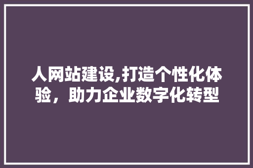 人网站建设,打造个性化体验，助力企业数字化转型