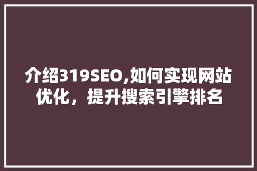 介绍319SEO,如何实现网站优化，提升搜索引擎排名