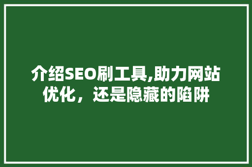 介绍SEO刷工具,助力网站优化，还是隐藏的陷阱