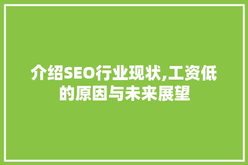 介绍SEO行业现状,工资低的原因与未来展望