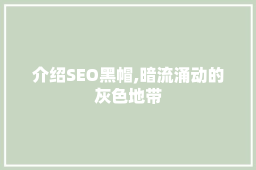 介绍SEO黑帽,暗流涌动的灰色地带