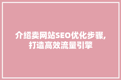 介绍卖网站SEO优化步骤,打造高效流量引擎