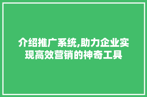 介绍推广系统,助力企业实现高效营销的神奇工具