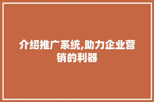 介绍推广系统,助力企业营销的利器