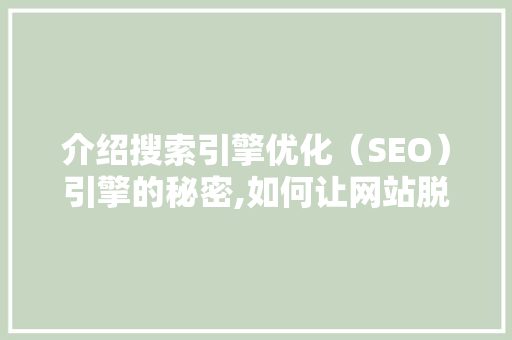 介绍搜索引擎优化（SEO）引擎的秘密,如何让网站脱颖而出