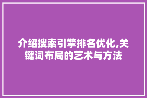 介绍搜索引擎排名优化,关键词布局的艺术与方法
