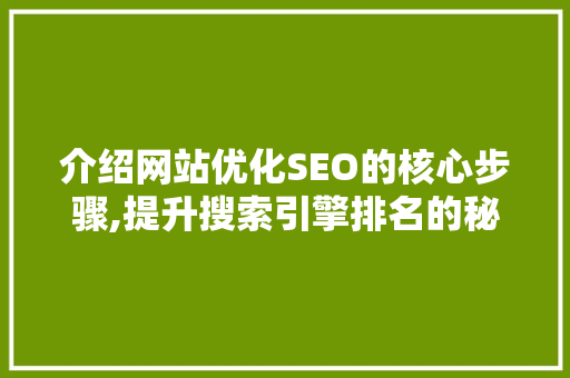 介绍网站优化SEO的核心步骤,提升搜索引擎排名的秘密武器