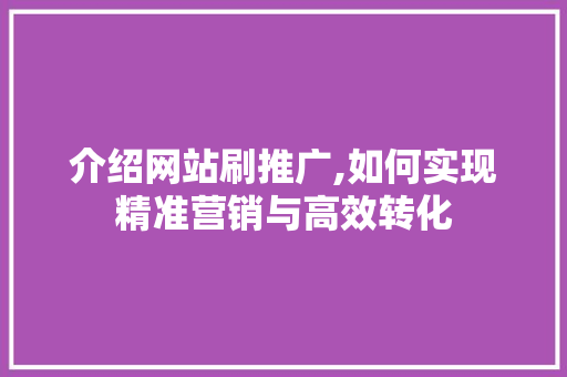 介绍网站刷推广,如何实现精准营销与高效转化