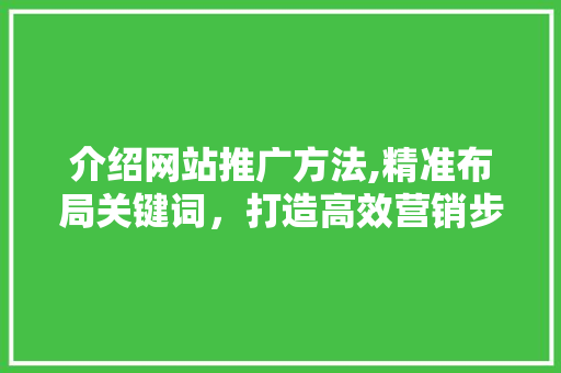 介绍网站推广方法,精准布局关键词，打造高效营销步骤