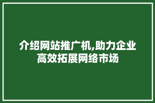 介绍网站推广机,助力企业高效拓展网络市场