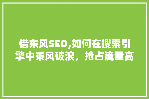 借东风SEO,如何在搜索引擎中乘风破浪，抢占流量高地