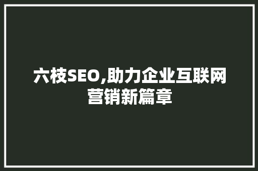 六枝SEO,助力企业互联网营销新篇章
