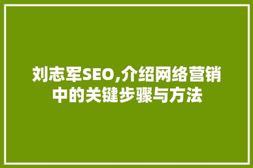 刘志军SEO,介绍网络营销中的关键步骤与方法