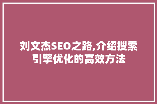 刘文杰SEO之路,介绍搜索引擎优化的高效方法