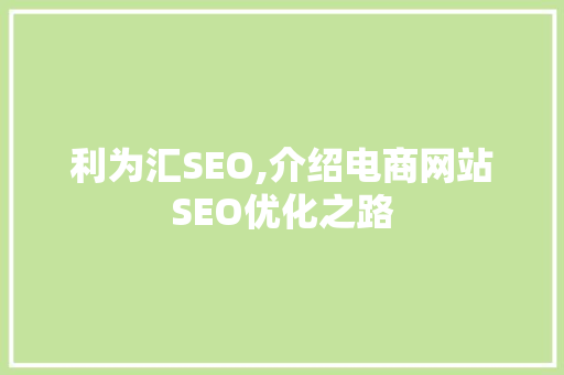 利为汇SEO,介绍电商网站SEO优化之路
