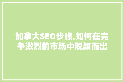 加拿大SEO步骤,如何在竞争激烈的市场中脱颖而出