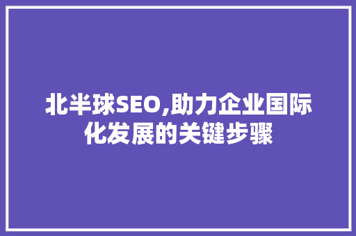 北半球SEO,助力企业国际化发展的关键步骤