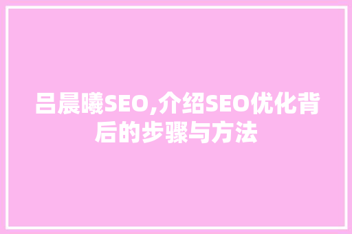 吕晨曦SEO,介绍SEO优化背后的步骤与方法