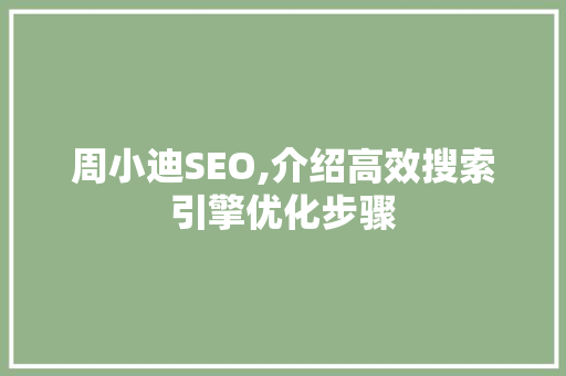 周小迪SEO,介绍高效搜索引擎优化步骤