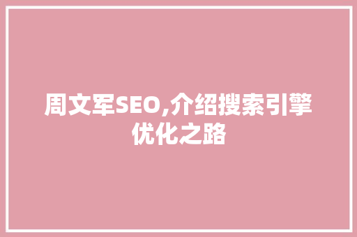 周文军SEO,介绍搜索引擎优化之路