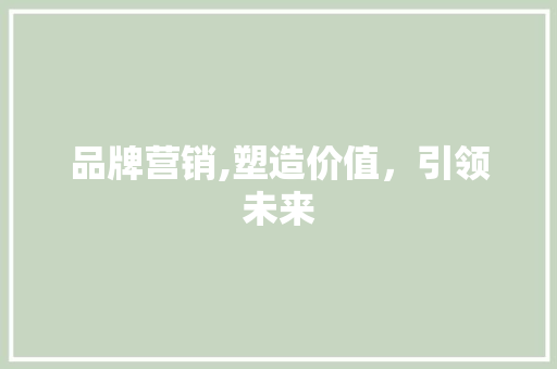 品牌营销,塑造价值，引领未来