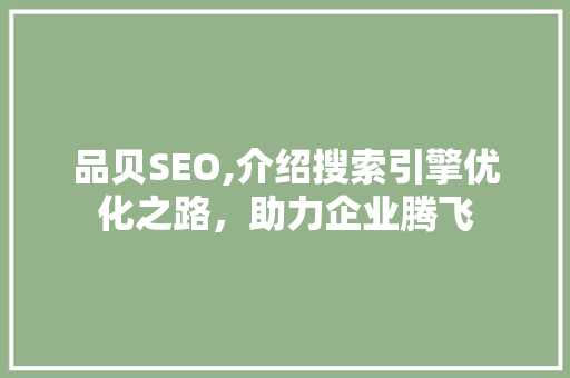 品贝SEO,介绍搜索引擎优化之路，助力企业腾飞