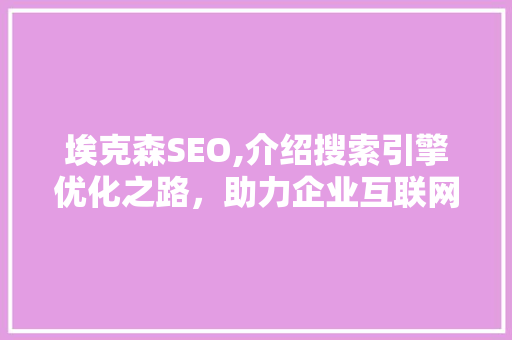 埃克森SEO,介绍搜索引擎优化之路，助力企业互联网营销