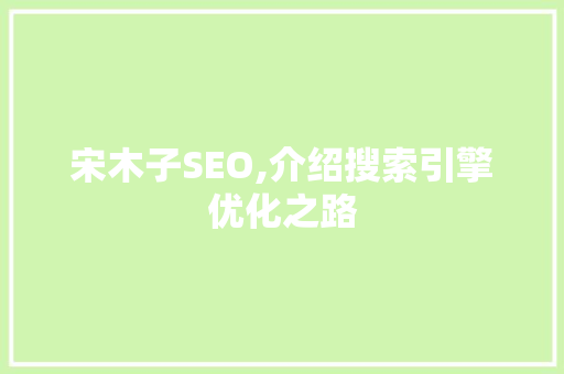 宋木子SEO,介绍搜索引擎优化之路