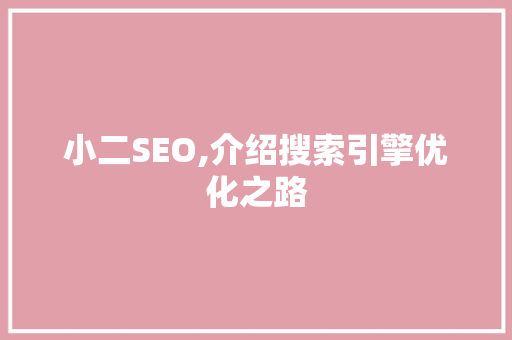小二SEO,介绍搜索引擎优化之路