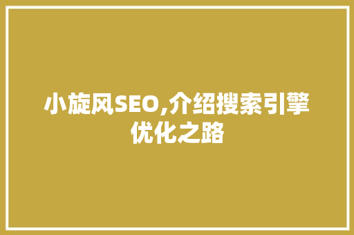小旋风SEO,介绍搜索引擎优化之路