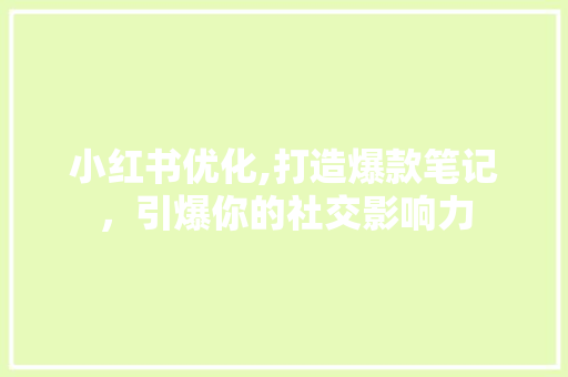 小红书优化,打造爆款笔记，引爆你的社交影响力