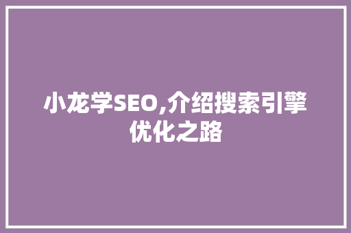 小龙学SEO,介绍搜索引擎优化之路