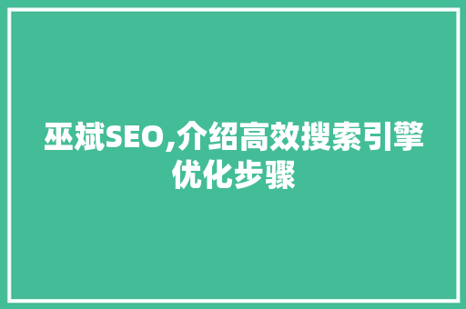 巫斌SEO,介绍高效搜索引擎优化步骤