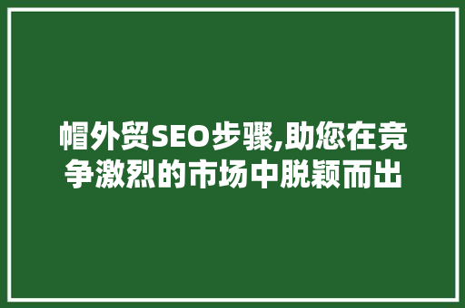 帽外贸SEO步骤,助您在竞争激烈的市场中脱颖而出