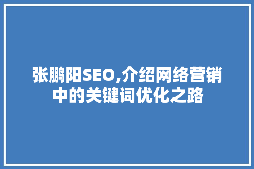 张鹏阳SEO,介绍网络营销中的关键词优化之路