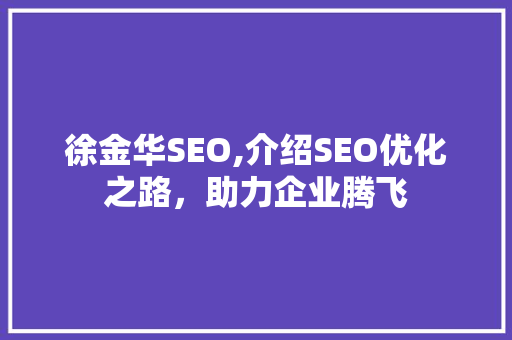 徐金华SEO,介绍SEO优化之路，助力企业腾飞